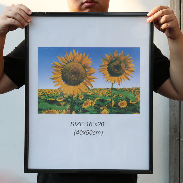 Classic Wall Picture Frame